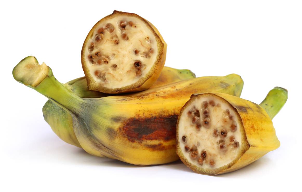 Where Do Bananas Come From In Australia at Pamela Bailey blog